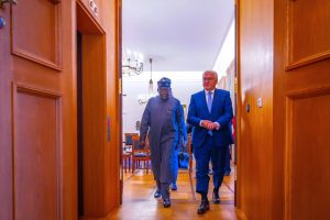 Tinubu Meets German President