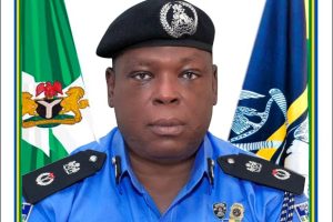 Yuletide: Police ban sale, use of fireworks, others in Delta