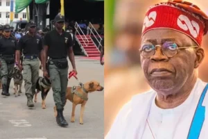FG spends N720k to feed dogs daily