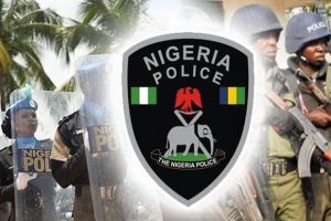 Nigeria Police Force 1