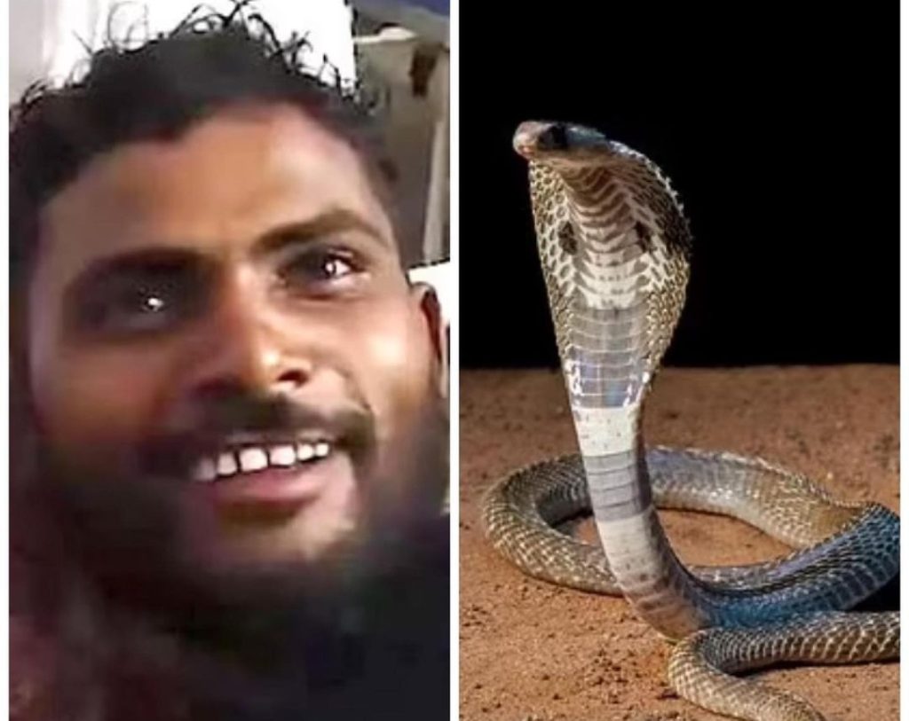 Indian Man Bites Back at Snake That Attacked Him