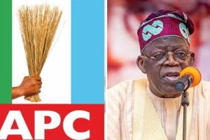 APC Tinubu