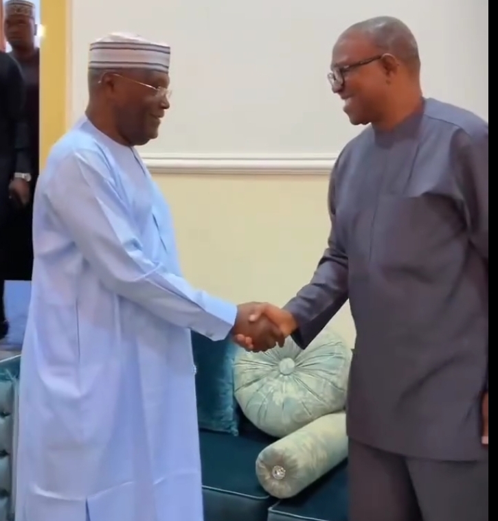 Atiku Abubakar, Peter obi