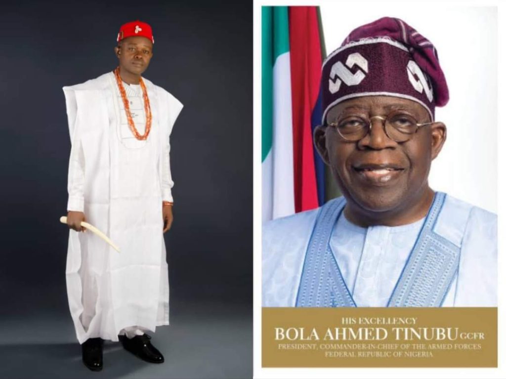 Chief Onyemelukwe, Tinubu 