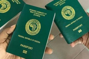 application letter for passport renewal in nigeria